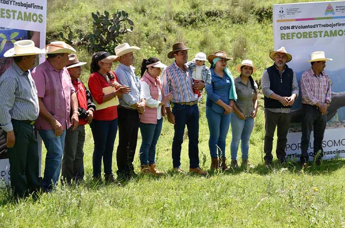 reforestacion almoloya de juarez