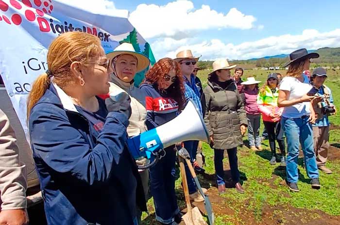 reforestacion septimo aniversario digitalmex