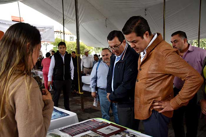 feria empleo almoloya juarez 2024 