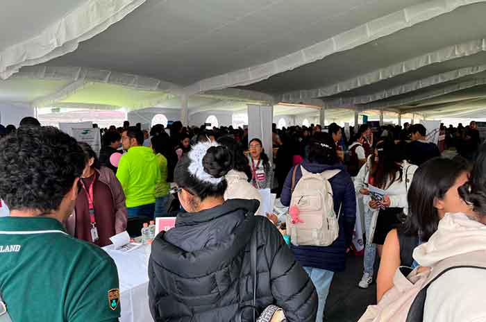 feria empleo toluca edomex