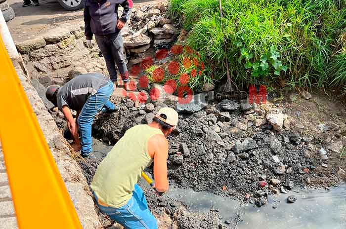 jornada limpieza edomex1