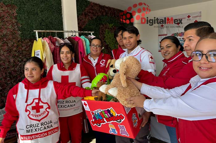 donacion cruz roja