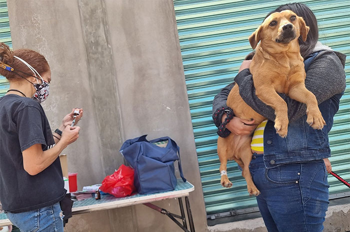 adopta mascotas navidad1