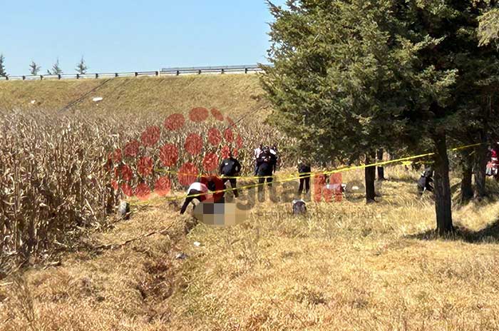 mujer asesinada