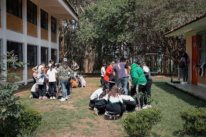 comites infantiles cuidado medio ambiente valle de bravo escuelas