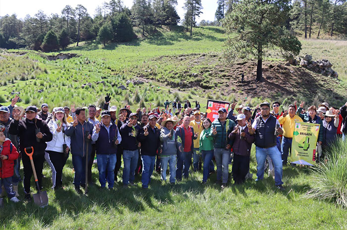 reforestacion zinacantepec 2024