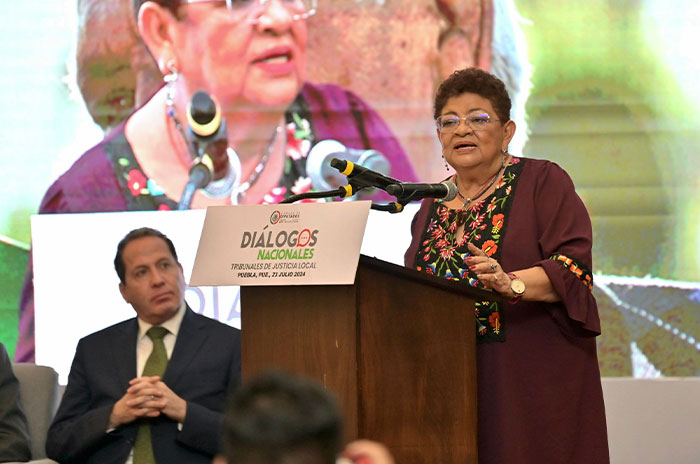 ernestina godoy reforma judicial