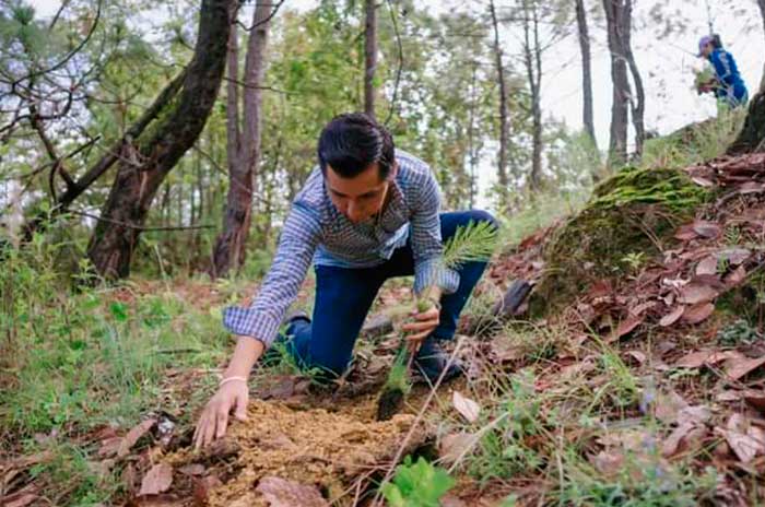 carlos González Berra campaña reforestacion