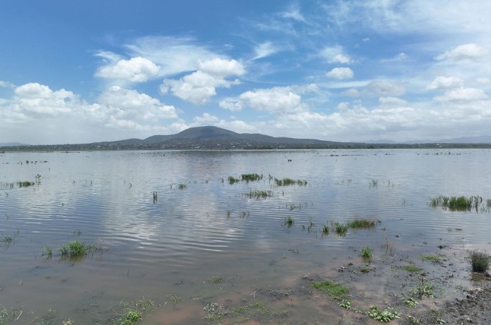 laguna zumpango dos