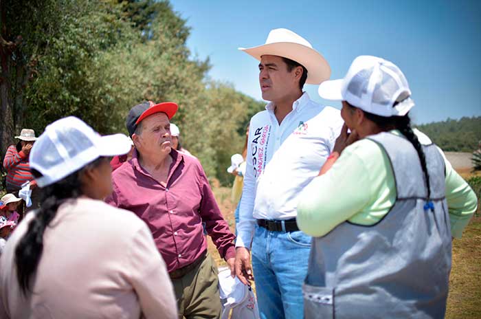 oscar sanchez almoloya juarez eleccion 2024