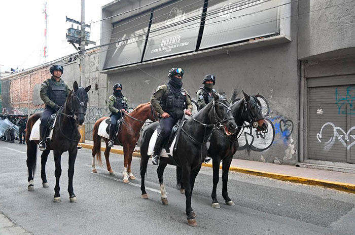 1buen fin toluca operativo