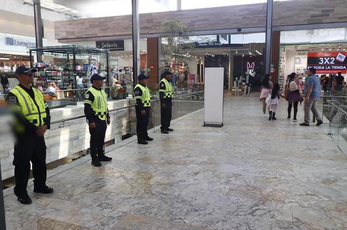 seguridad plazas comerciales