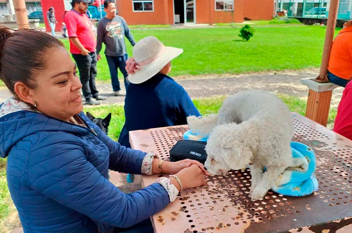 jornada salud temascaltepec