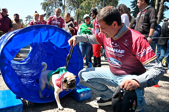 caravana bienestar animal toluca