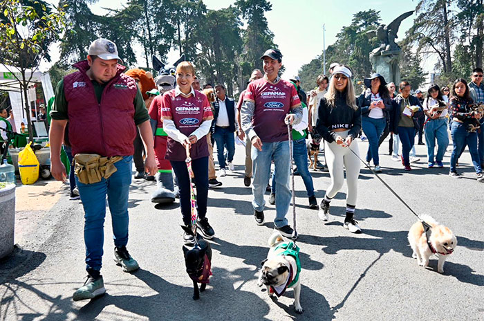 caravana bienestar animal toluca1