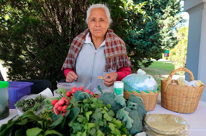 secretaria del campo1