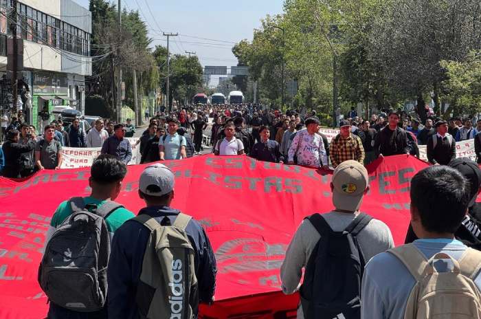 estudiantes de teneria