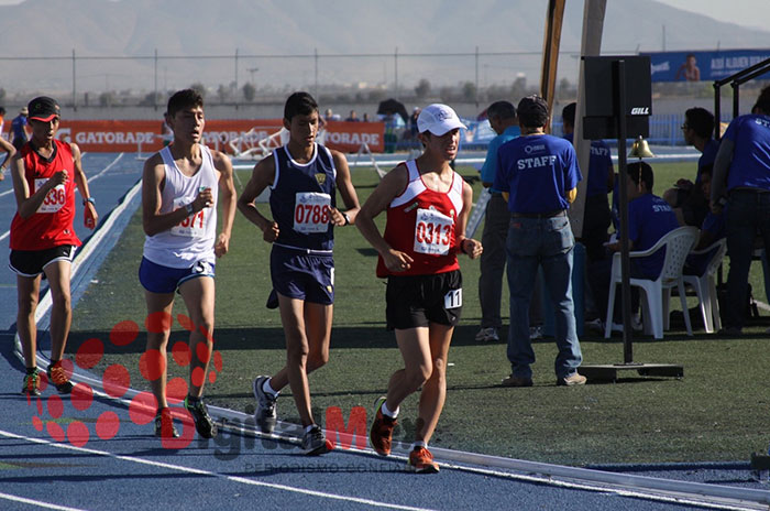 chama mundial atletismo