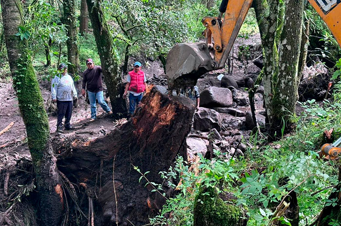 amecameca lodo efactaciones