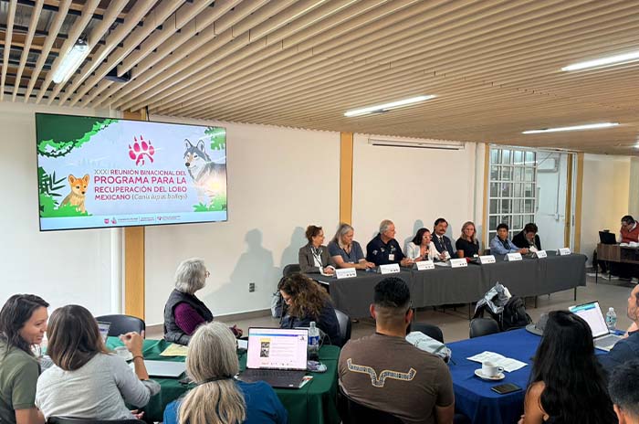 cepanaf encuentro