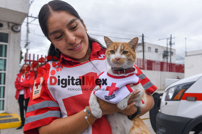 cruzberto cruz roja toluca