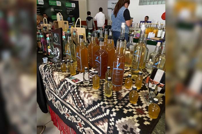 mezcal coatepec harinas1