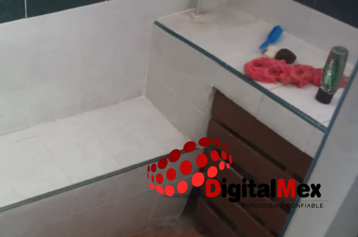 peritos 1