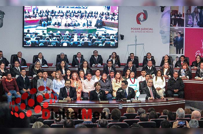 informe pjedomex delfina