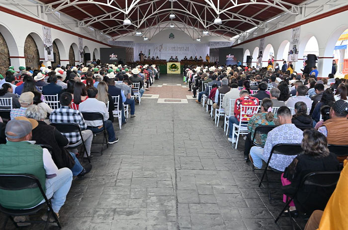 primer informe coatepec harinas