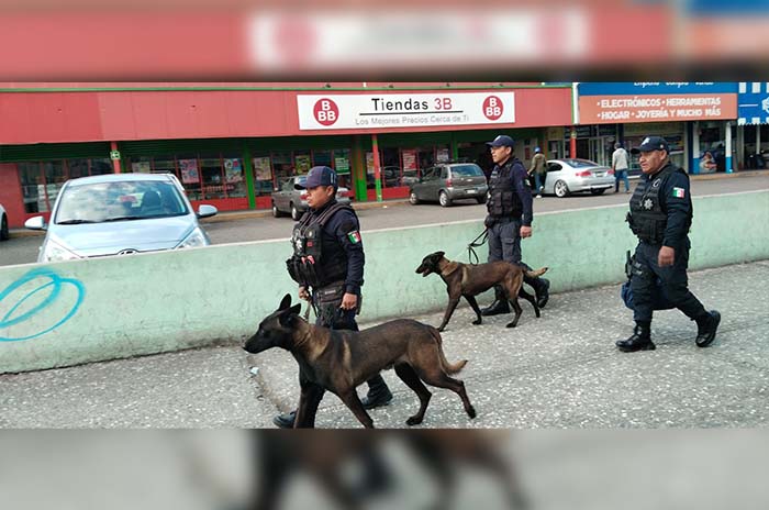 operativo toluca dos