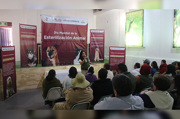 esterilizacion animal