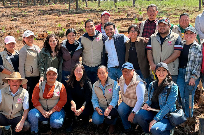 donato guerra plantan arboles