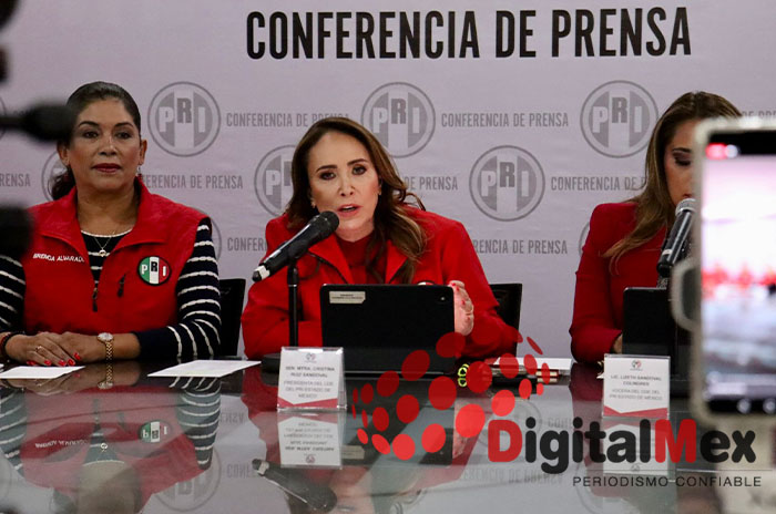 cristina ruiz pri