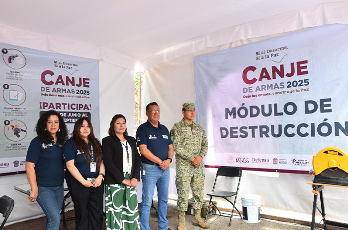 modulo canje armas