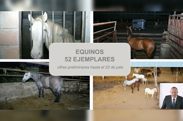 equipos 2