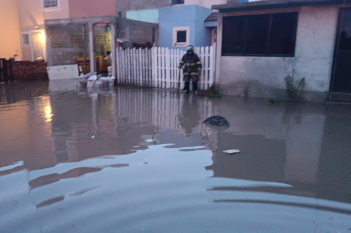 toluca2 1