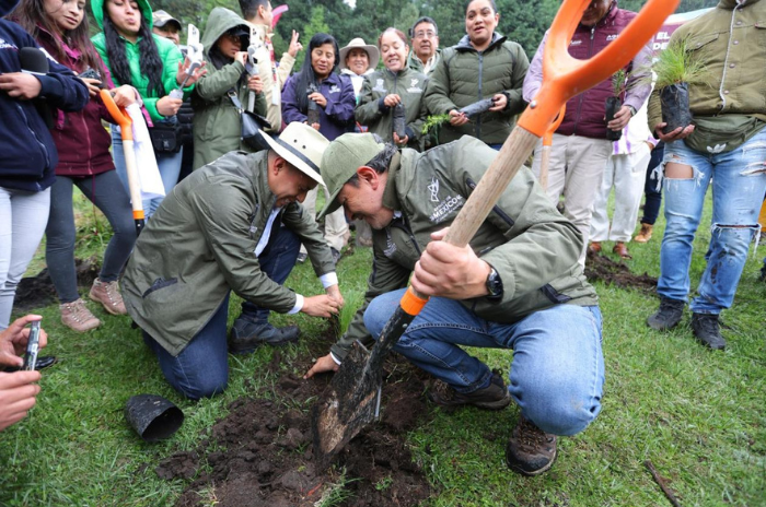 arbol 1