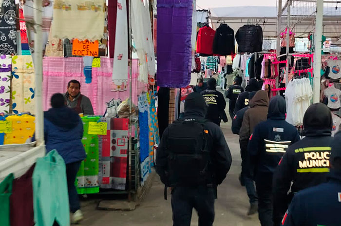 operativo toluca mercado palmillas