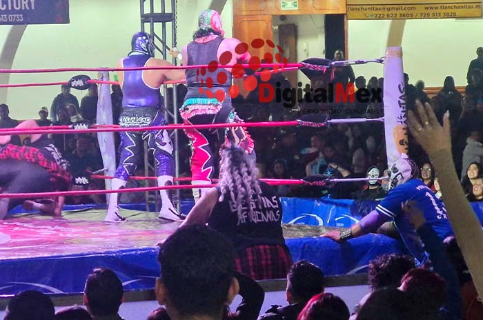 luchadores 4