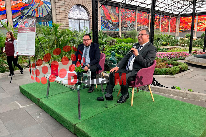 autoempleo edomex