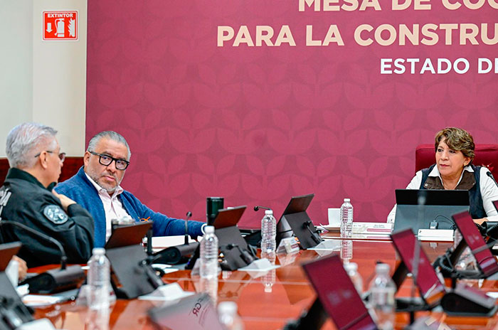 canje armas edomex