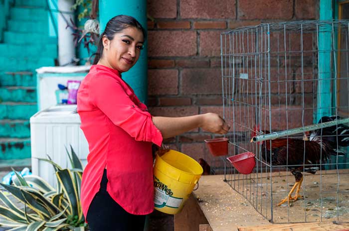 mujeres edomex apoyos1