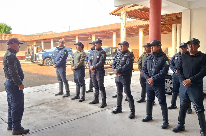 seguridad toluca