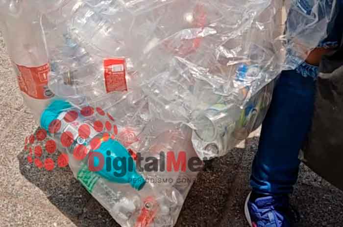 reciclaje toluca
