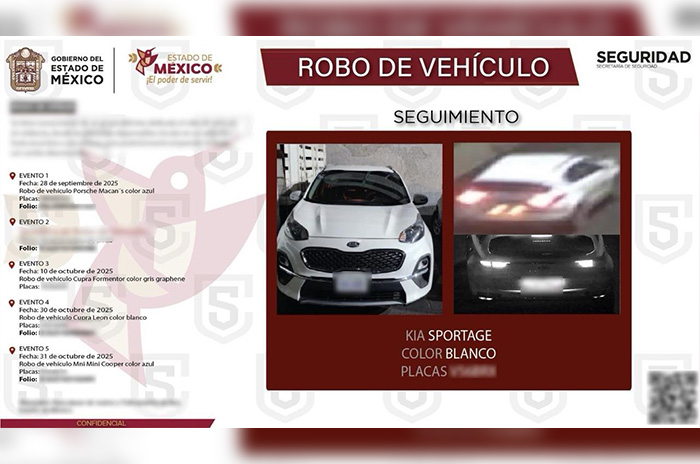 robo vehiculo1
