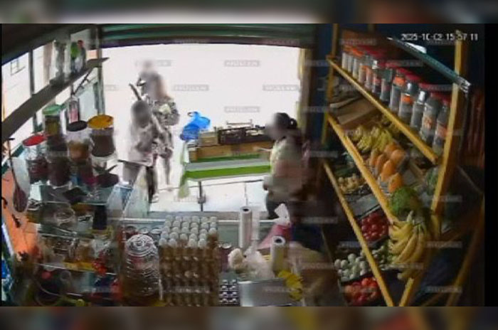 tlalnepantla perritos maltratados