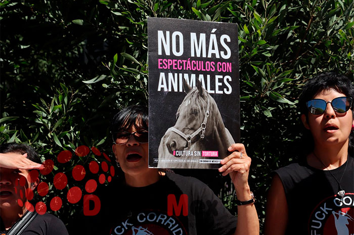 animales2