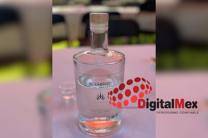 mezcal sur edomex