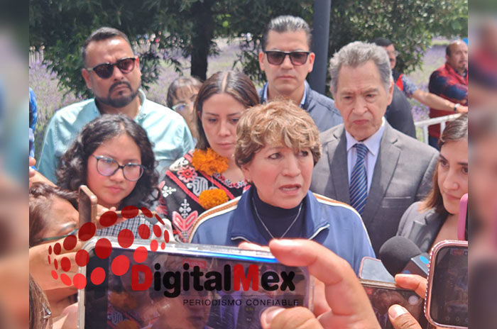 ocuilan tala ilegal delfina gomez
