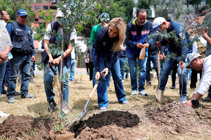 reforestacion huixquilucan1